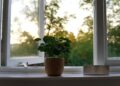 The Benefits of a Minimalist Lifestyle