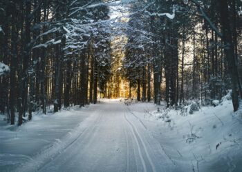 How to Stay Healthy During Seasonal Changes